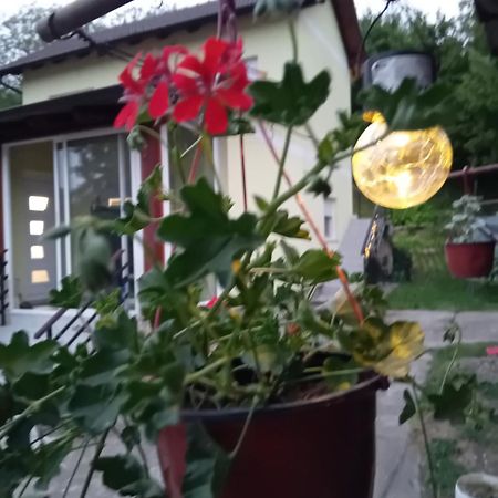Lux Snezana Apartamento Vrdnik Exterior foto